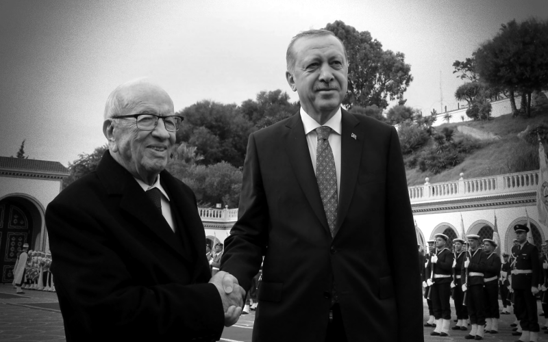 Tunisia: President Erdogan's Official Visit