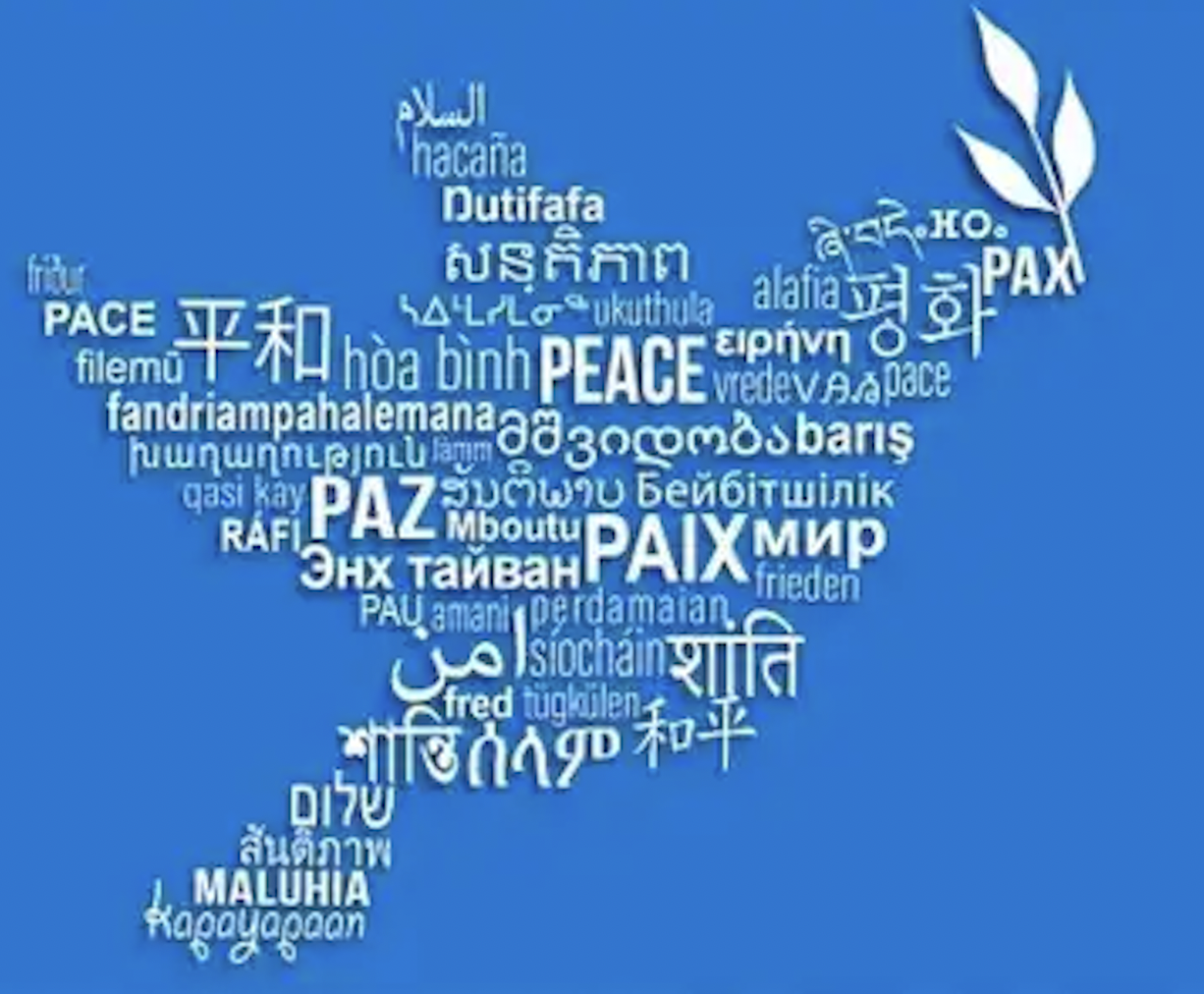 İHD: Mother Tongue Is a Fundamental Human Right